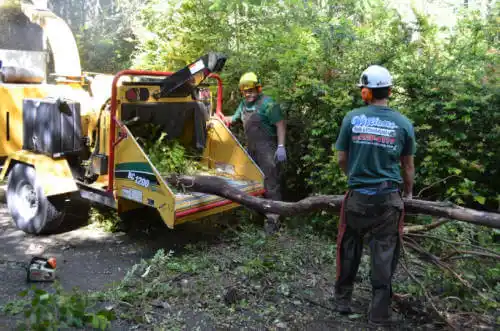 tree services Big Bear City